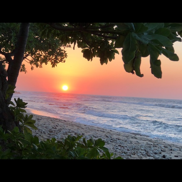 Meet your Posher, Kehaulani - Picture 1 of 1